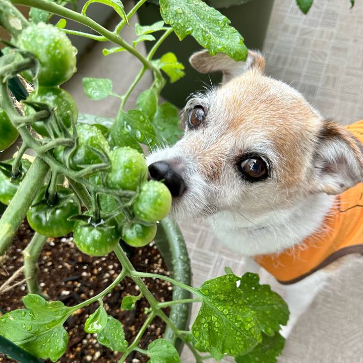 Dc3ae007 8fb8 4ee9 9e30 97a304efe7e3 1686816330101