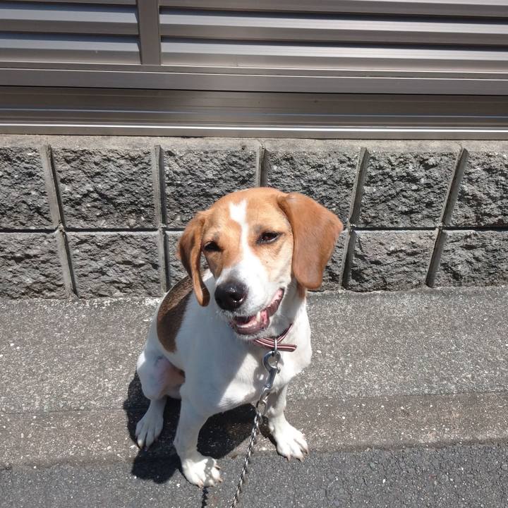 Dc3affe9 5a86 4245 804e d61396c2b56c 1596173222328