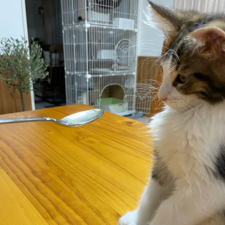 Dc3b0be6 2334 4721 a673 1774364648cc 1631955272139