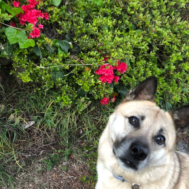 Dc3b4066 5c4d 4a82 ab60 99c2a4df87da 1617796082602