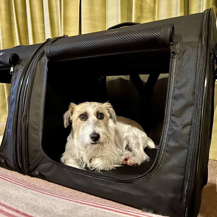 Dc3b6ef4 a544 4435 af9a 18295c6222b4 1700651544489