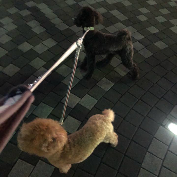 Dc3b70cb a60a 4539 9f87 c584428e5cd8 1589196147170