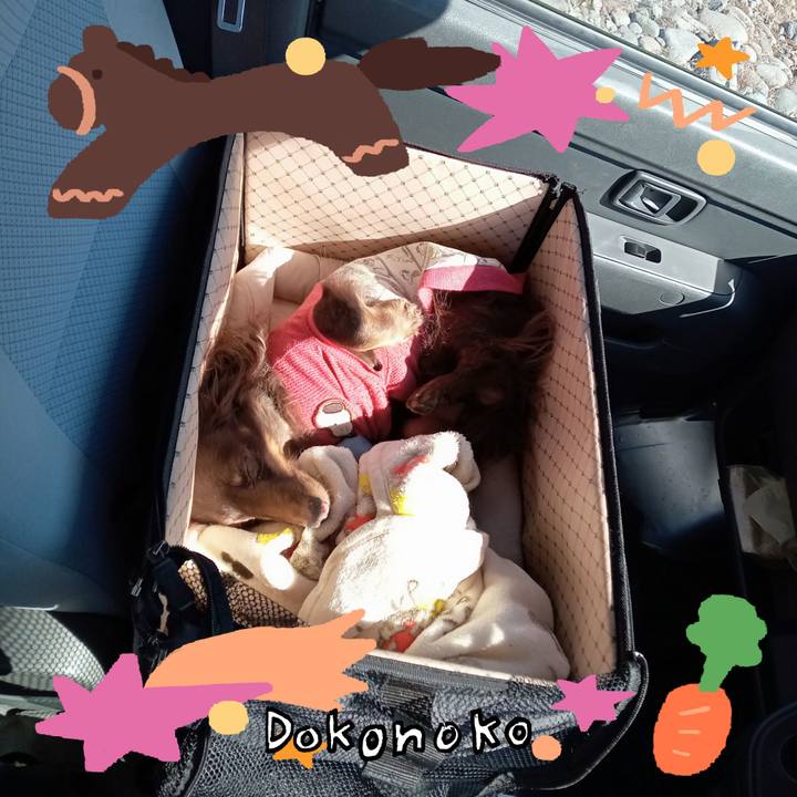 Dc3b9227 eb1b 46e5 926b cee282bd97ac 1772318316010