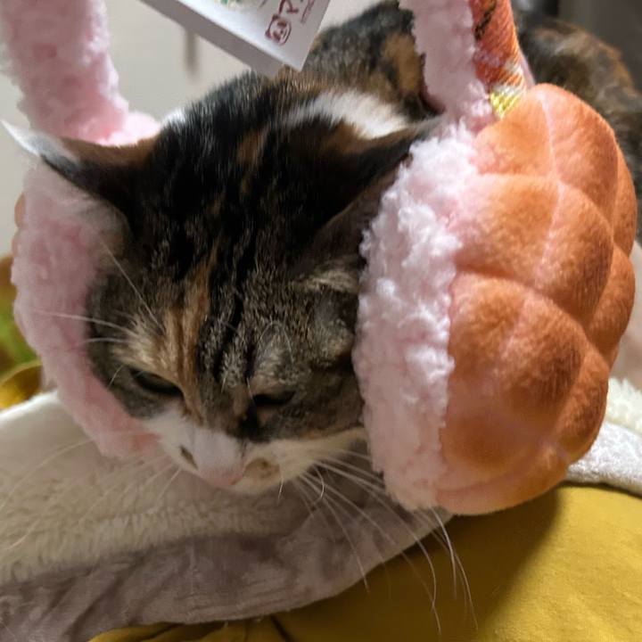 Dc3ba3f4 b412 4ae2 b57b ce6bc1b5a46b 1763414877146