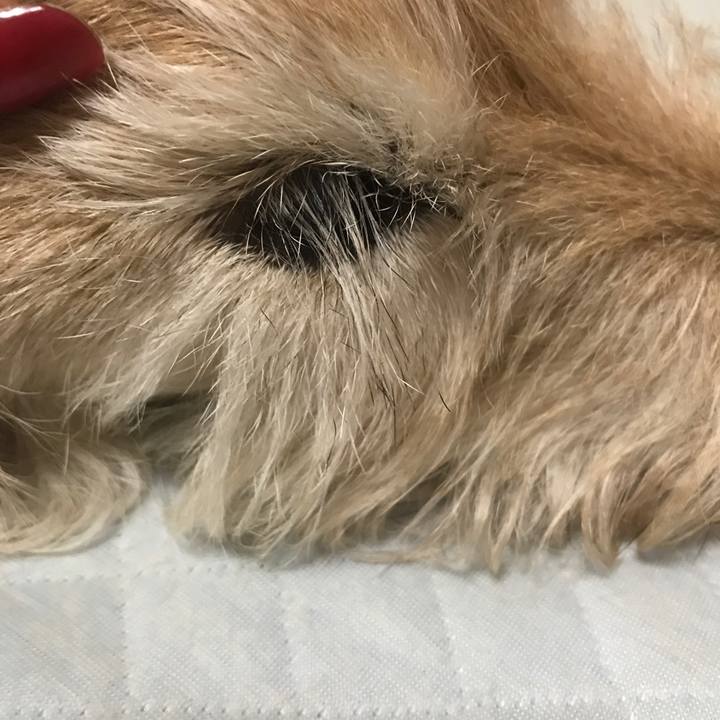 Dc3ba564 3302 46e7 a0f7 2ce0b0c8d204 1636500983083