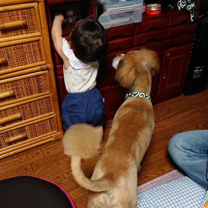 Dc3bd388 d4d3 4dd5 8621 3e2d1672469c 1563716959799