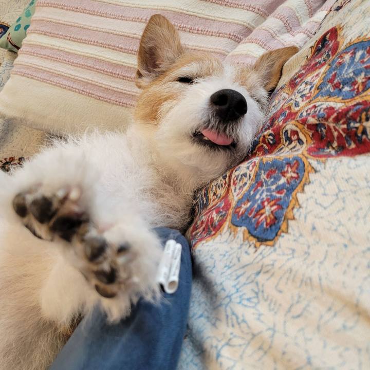 Dc3c235b b415 44bc 8c8d 08874283530d 1750643266183