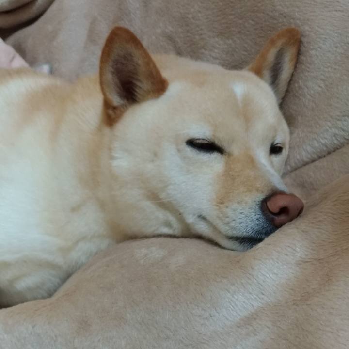 Dc3c244f c8ba 46b3 9045 7e9bc7e1df90 1579955854572