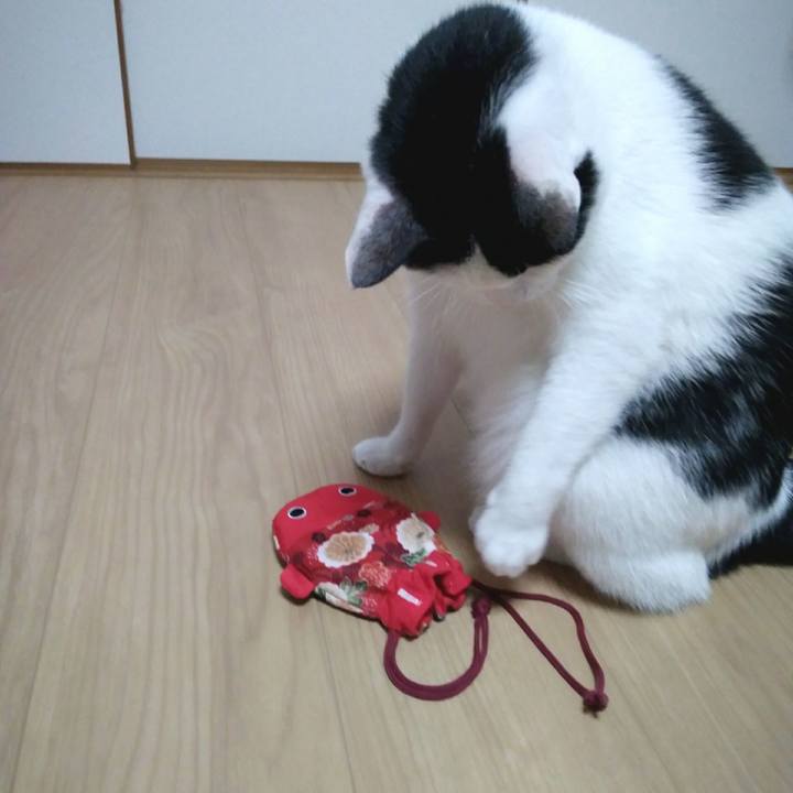 Dc3c2741 5ba5 4d8f 8262 e4741451dbe6 1544184350571