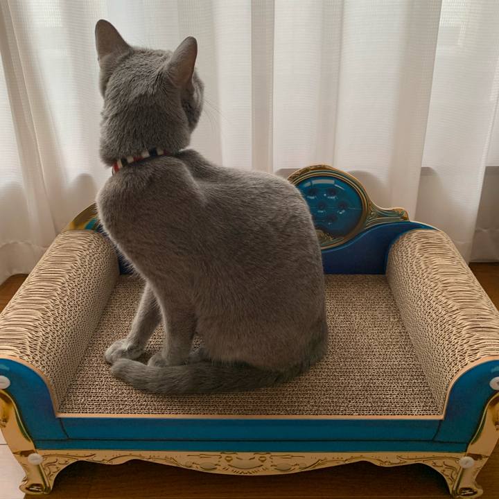 Dc3c4b68 406b 491f bf8f b20b5a09c8a6 1669776951132