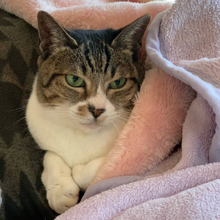 Dc3cb5d0 9be1 4bb6 8222 db9f9764782f 1578705959234