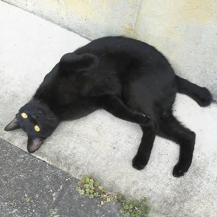 Dc3cda06 d3f5 4061 9672 f26a373291d0 1565585561741