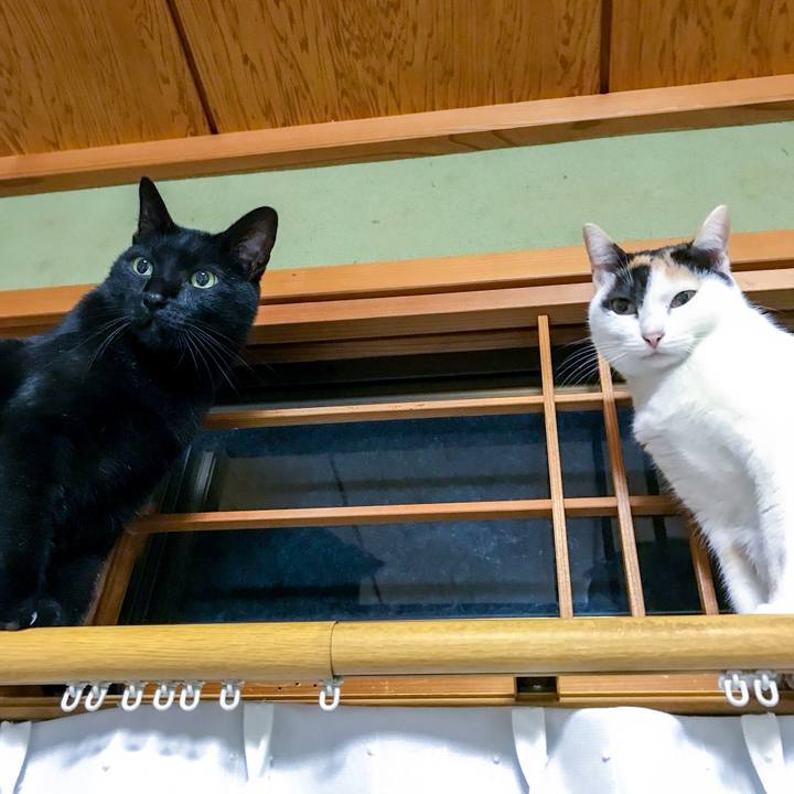 Dc3cf03a 42a6 4a89 a4a7 c83060c5586f 1509184401892