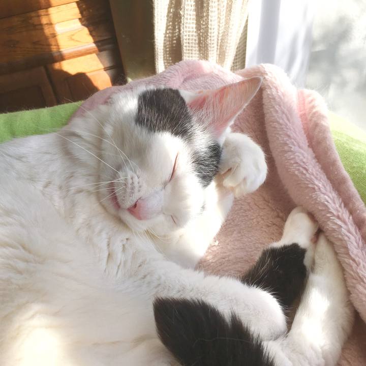 Dc3d032e 20ae 4db0 8eed 13da7e576bf4 1556833435539