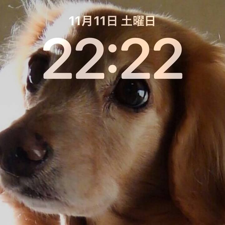 Dc3d0eb1 65d3 4a86 816a a2c9b3714121 1699709124819