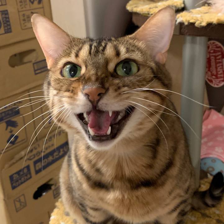 Dc3d29a1 9a84 405f bcb0 ec4d958b4c61 1571698829120