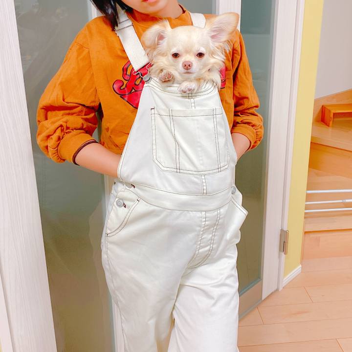 Dc3d5b07 1869 431c bfb7 611205748fb4 1636174470199