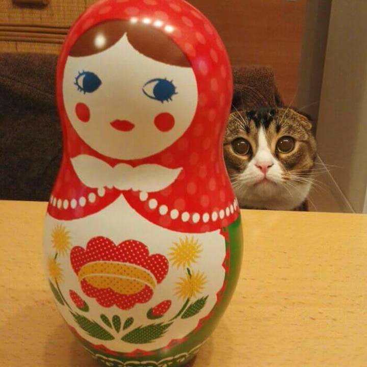 Dc3d7d48 885c 4a99 b29b 82fc6e40c2dd 1519466043569