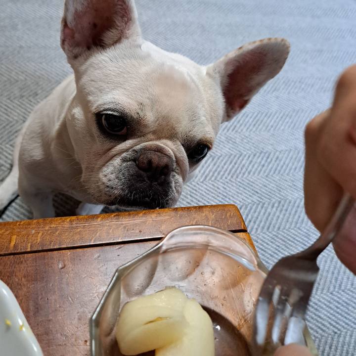 Dc3d8bcb 2ecf 48bf 9e7c ac7cb5719f80 1725149153533