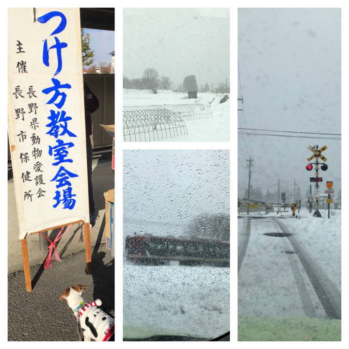 Dc3d971d 8ade 4a2a aeb5 5a93cdc84edb 1515840187150