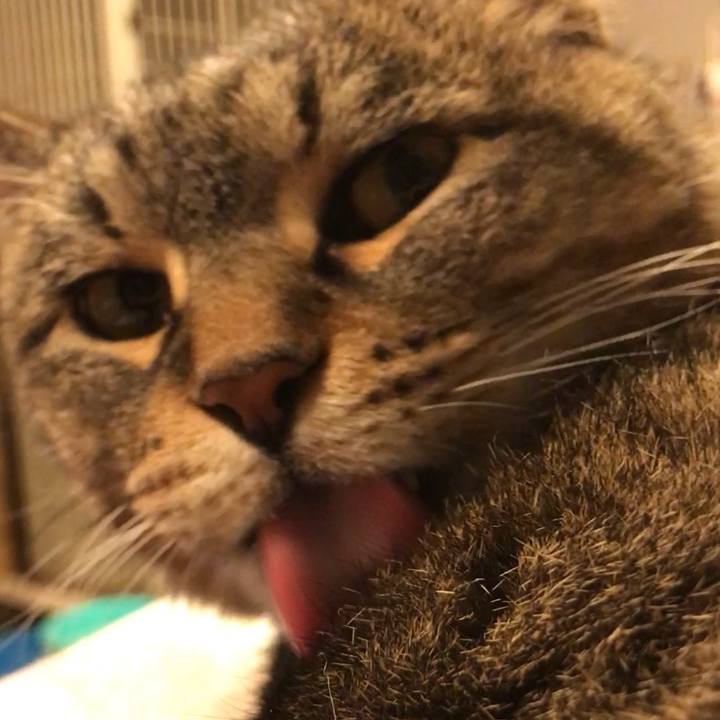 Dc3e1f7f a687 4661 b5cb d6cb90924d50 1523361627204