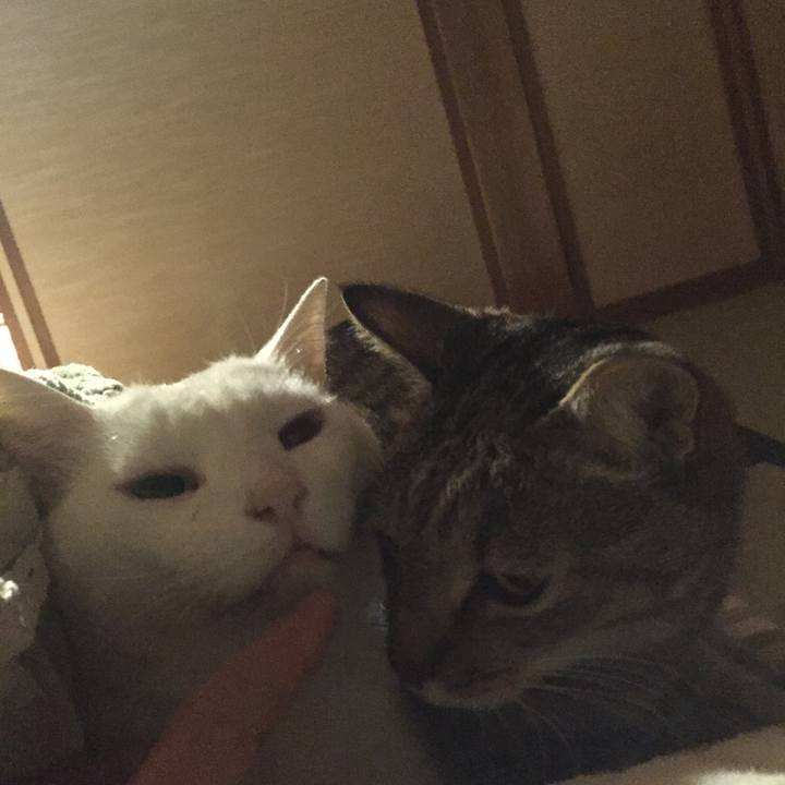 Dc3e26ed a686 4d36 9161 adbafe7dde50 1513717474481