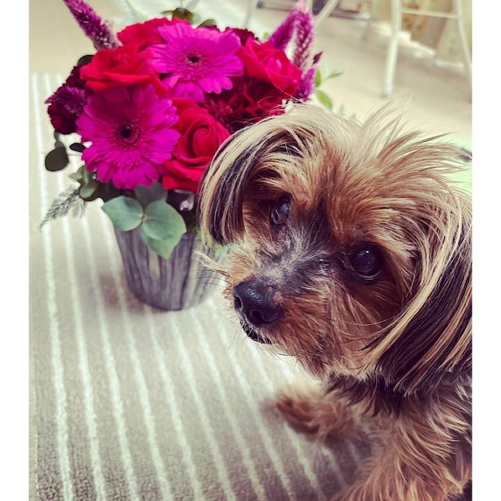 Dc3e534f b8e2 45f1 be18 3f12bd1f3f00 1668492579367