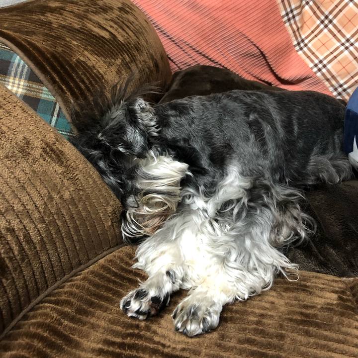 Dc3e8c5d e736 4138 99e1 eac5a5effb98 1621783050457