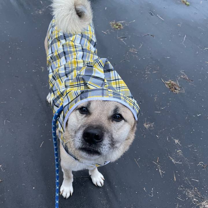 Dc3ea51c 2fc3 4373 b727 49750e5cba64 1676289865962