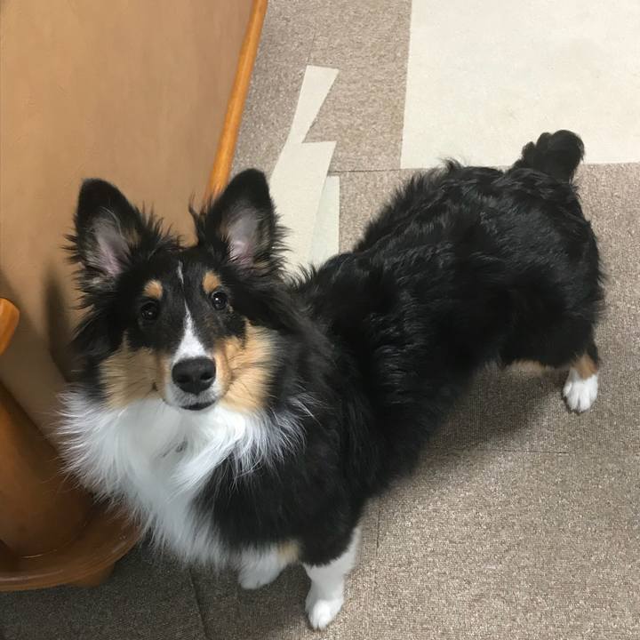 Dc3eb00b a286 4e82 a63e 8f54b3838117 1519941983232