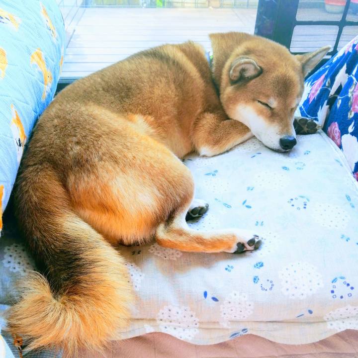 Dc3ef57c c103 4617 b850 d04fbf34ebf9 1604970806561