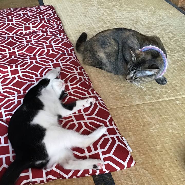 Dc3f0852 0da4 4166 bd4a 379c009a1f20 1627089816493