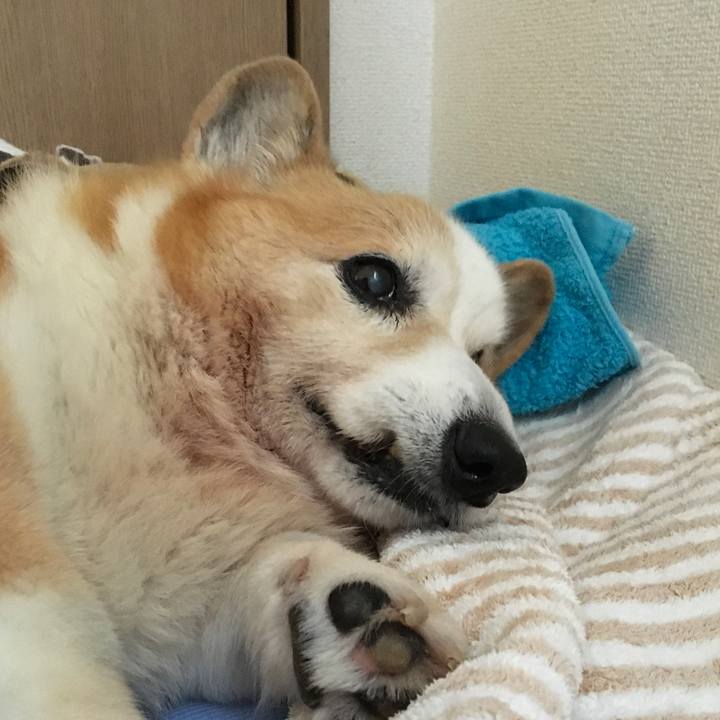 Dc3f2604 ab6f 4bff 8f95 cb2d1720f86c 1573176856087