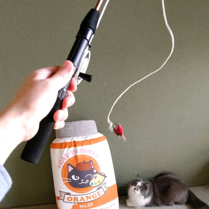 Dc3f38cd 7d47 436a 8762 54de3c8d3c46 1615003566643