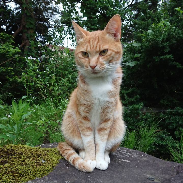 Dc3f7143 af89 48d2 adcb 9ac32ec60031 1595410148370