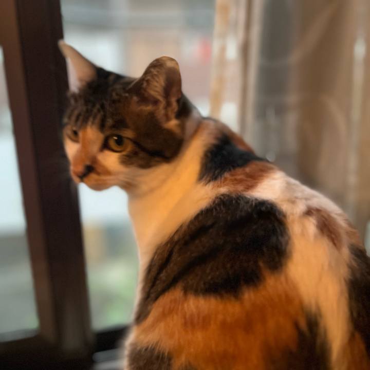 Dc3fa326 594a 4d97 8b27 5aa2f46183fe 1757048227750