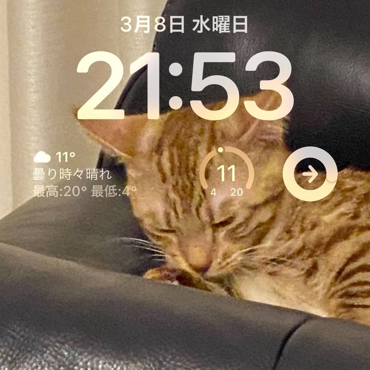 Dc3faea1 8bd3 49a2 bfb9 c5dfcd3180ee 1678280053737