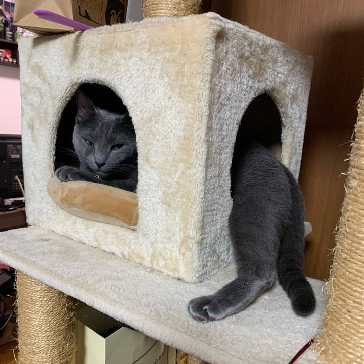 Dc3fd22e 35c1 4c28 89f7 58817e9bbac6 1655559034822