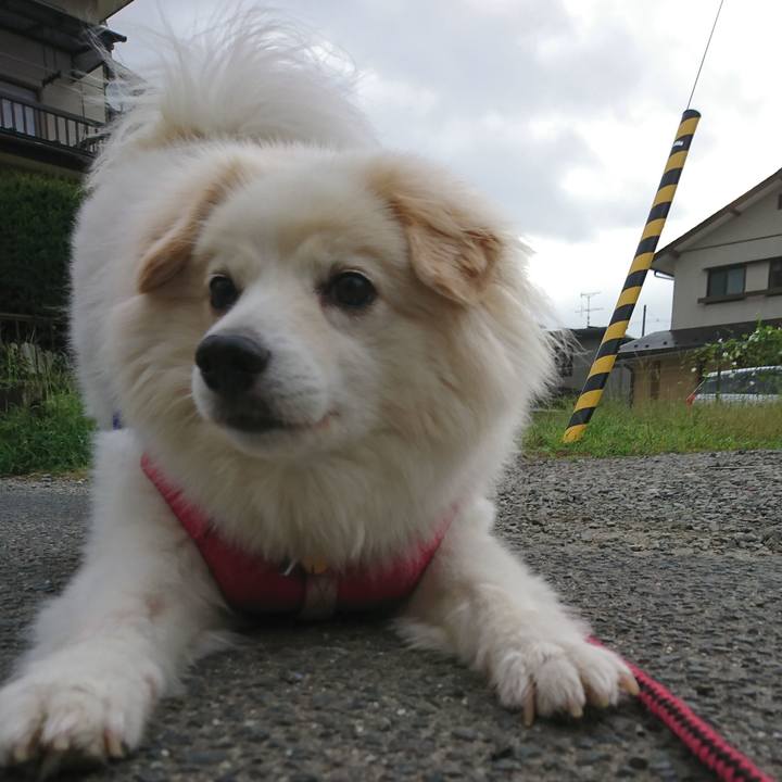 Dc400e9d 0a3c 4e6c b454 72ff2fe3a56f 1536023538210