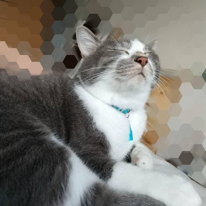 Dc40510b ed20 49c7 921e 87523417ffb3 1634168835654