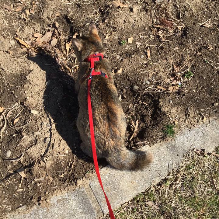 Dc408796 a25f 499d 8cb2 5af40786d063 1583730521658