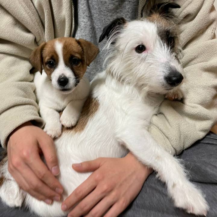 Dc40d750 7a85 41b4 abb2 351354c1d652 1614681914514