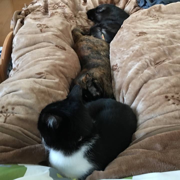 Dc40e6bf b4a7 46c4 a6d4 f76ba150f701 1542435522640