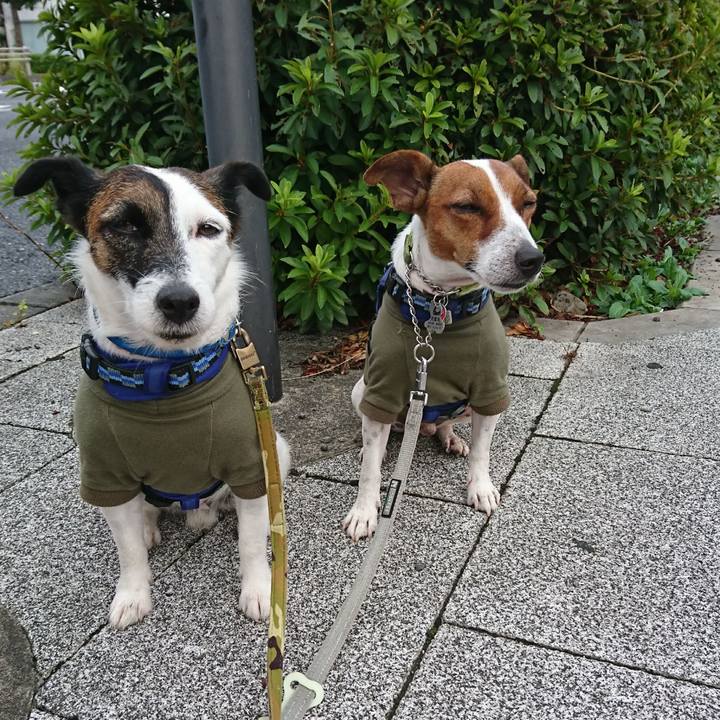 Dc40feaa 57d2 4463 b6a0 66c3fcd8c0b6 1600296619909