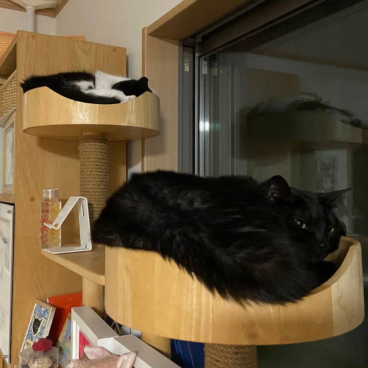 Dc4119c1 c854 4b22 9263 00aa363fdd26 1685914254351