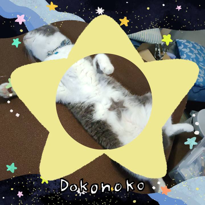 Dc411ac1 51de 435e 876e c739fc686983 1720750854028