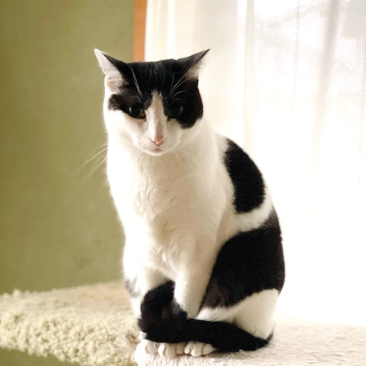 Dc411b7b 3f3f 4ebc 94f1 b26ef8c49216 1645582225096