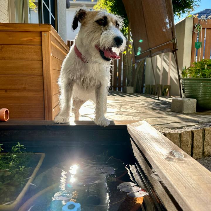 Dc4140fd 5a7c 4588 8146 bf1b314f7618 1693043658684