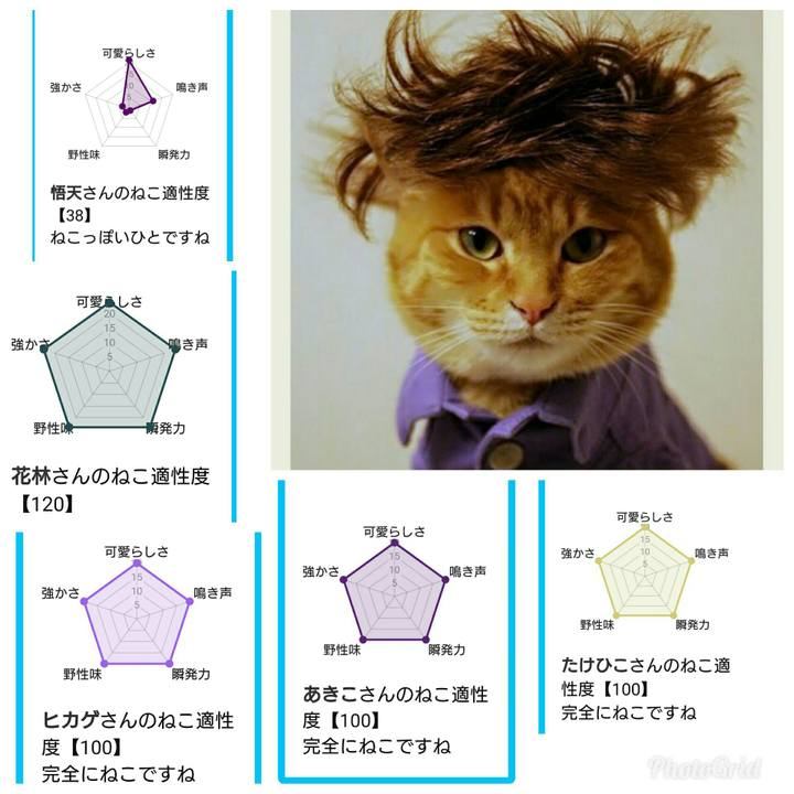 Dc4193aa 9b21 4384 8e48 6f043d6c3084 1539313788355