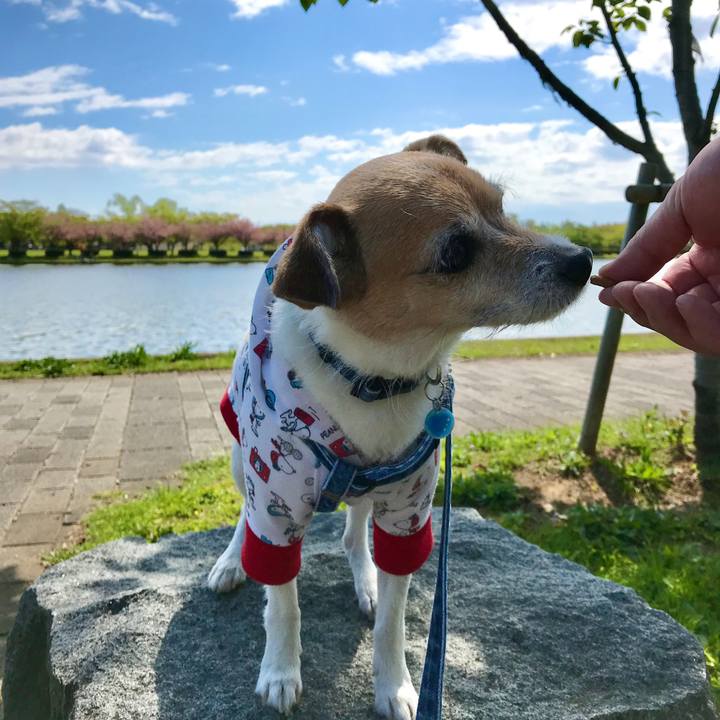 Dc41bcca 5d42 4c15 8aba 82b6f0293648 1618025178795